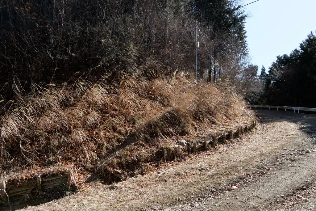 再び車道に出ます。向かいの登山道に入る。

ここから笠山手前の尾根道まではすぐなのですが、傾斜が一段上がるような感じでなかなかつらいです。あと道もザレていてちょっと怖い。

このあたりから風が吹きすさんでだいぶ寒くなりました。