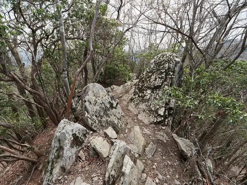 ちょっと進むと早速なんか岩っぽくなってきたぞ！と思って緊張したんですが…