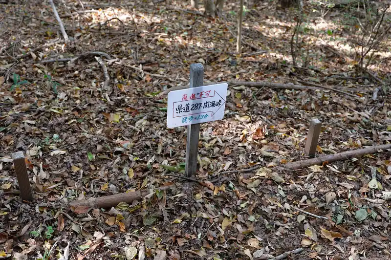 少し進んだところに道標。
なるほど。道はあるわけか。