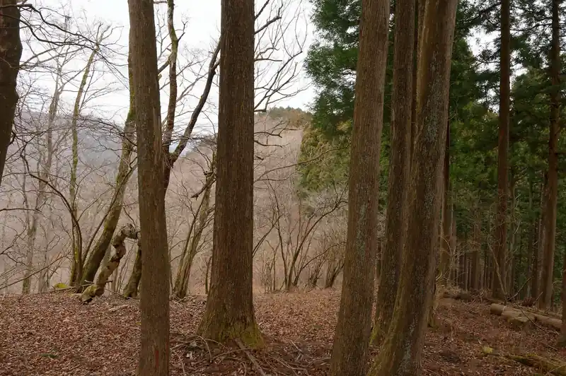 わかっちゃいたけど、ここからも標高を落としてまた登り返します。
うーむ…戸倉三山の嫌な記憶が蘇ってくるぞ。
