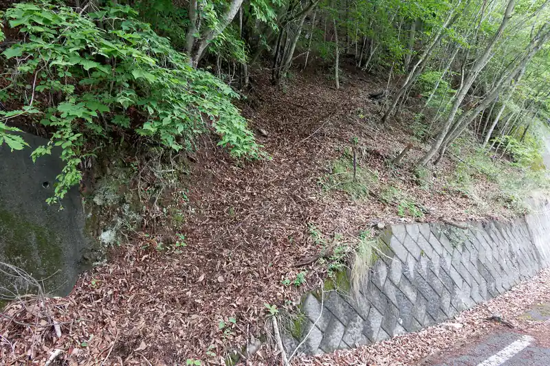 そのまま歩いていくと山側に歩けそうな箇所がありました。
どうやらこれが境沢ノ頭に続く道っぽい。