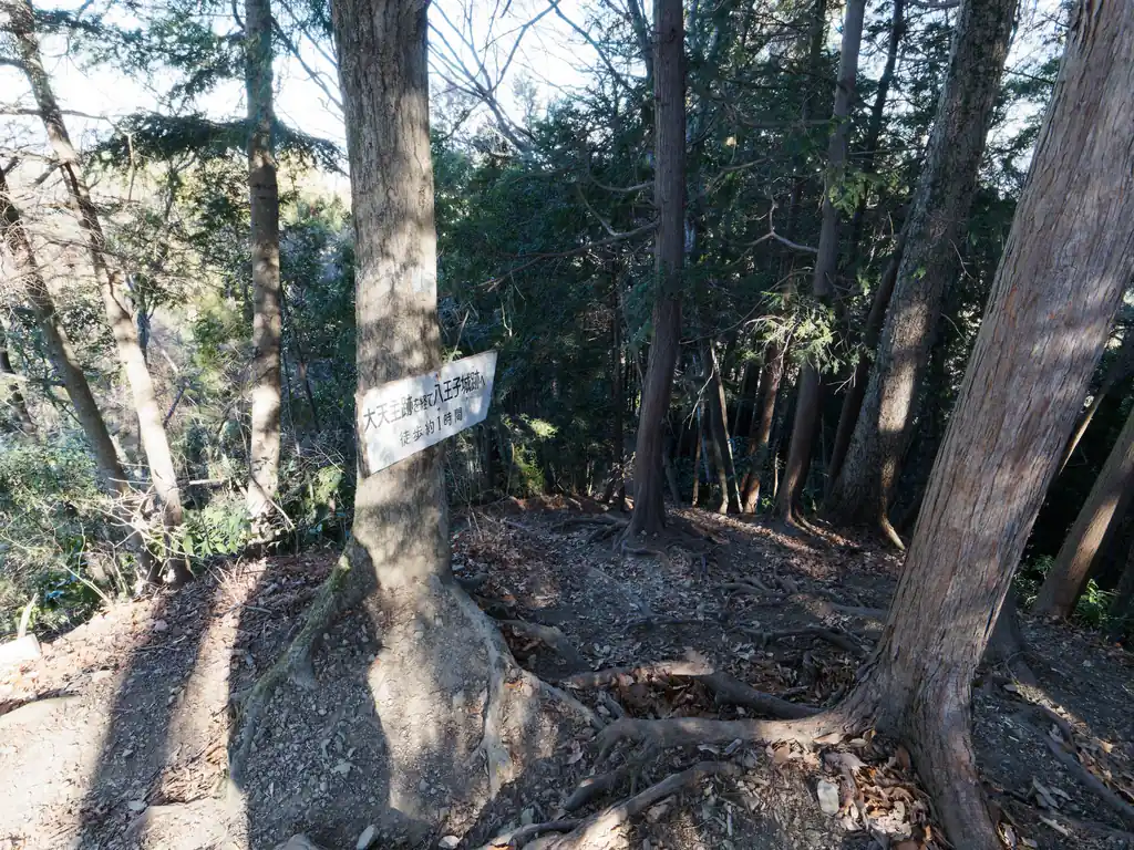 こっちは後で歩く八王子城址方面への道。
