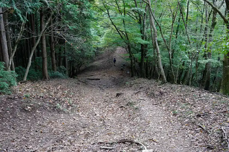 下っていくとすぐに緩やかで歩きやすい尾根道へと変わる。