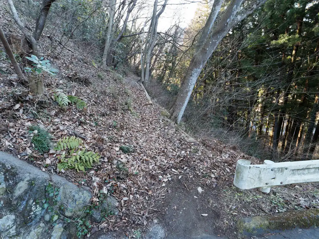 天王山山頂には今も社があります。というわけで、どなたかが今もメンテナンスをされている模様。
この細いトラバース道もそこそこヒヤヒヤしながら歩きましたが、途中新し目の板で補修されている箇所があったりと、メンテナンスがされている雰囲気を感じる。