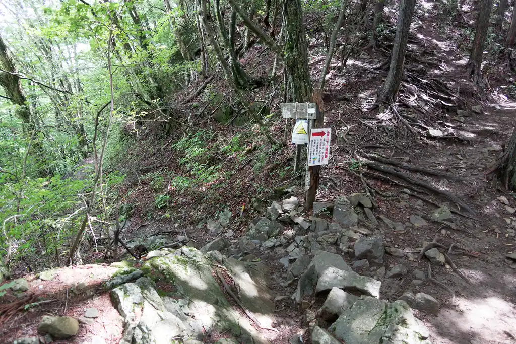 写真左が登山道、右側が推奨ルートのブナの路ですね。ブナの路は確かに道幅が広かった。