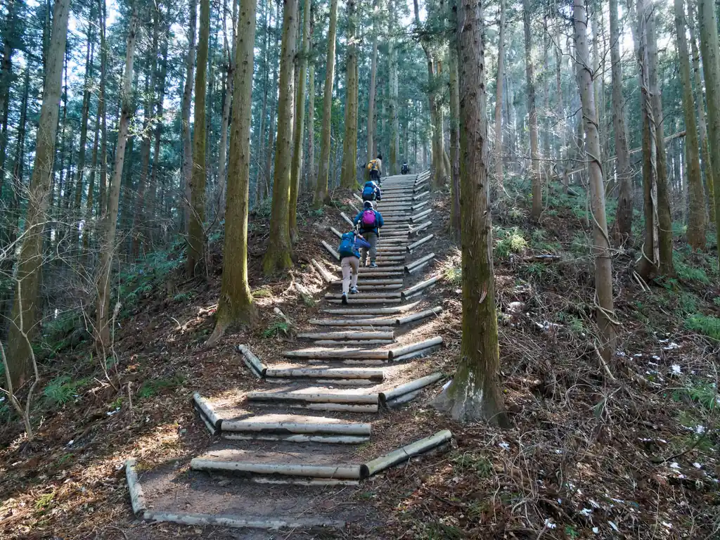 少し登っていくと早速階段。
このあたりになると陽が当たるためか雪はすっかり消えてなくなっている。