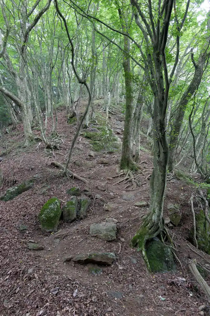 ちょっと岩っぽい道を歩いてすぐに雄岳への登り。ここはそれほど斜度が大きくないので二足歩行で余裕です。
ただちょっと滑りやすそうな気がして、降りてくるときはちょっと緊張感がある。