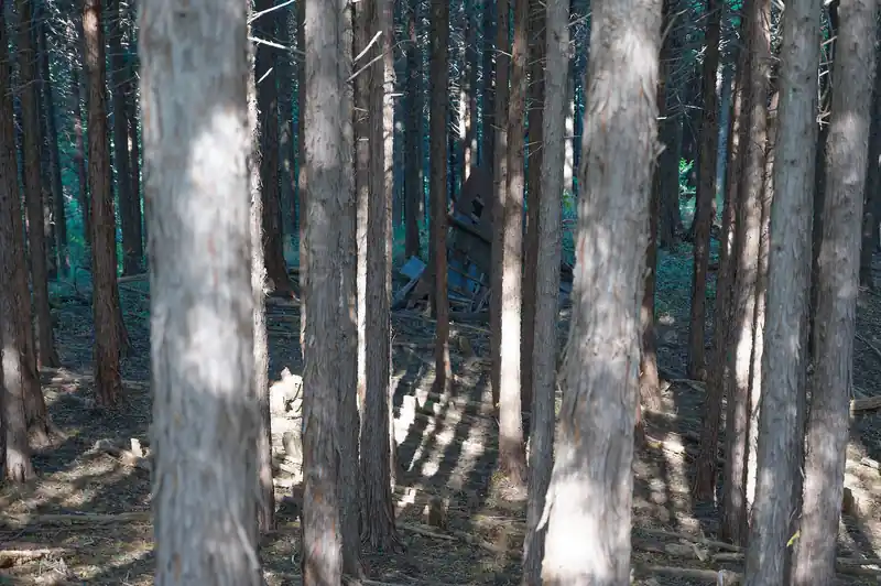 登山道から離れたところに崩れた建物らしきものが…。