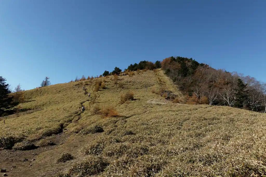 振り返って熊沢山方面。笹が生い茂った道を降りてくる。
この景色も見事だ。