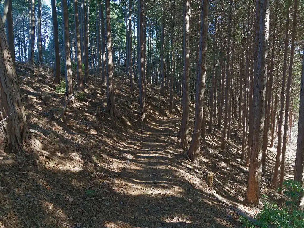 このままアスファルトを歩いても良いのだが、登山道だか作業道らしきものがあったので、歩いてみる。

いくつか道標があるだけで、特に何かあるわけでもなく、ただの歩きやすい道だった。