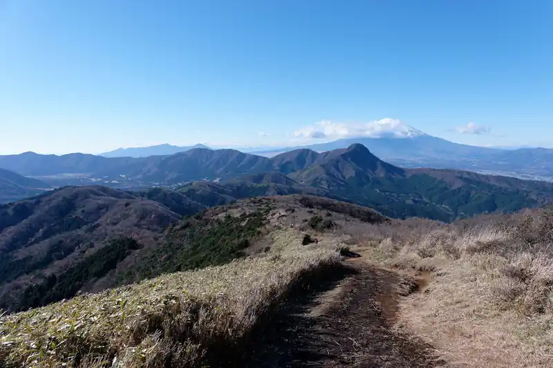 金時山からだいぶ歩いてきました。長かった…。
途中遭遇した登山者は10人前後。
明神ヶ岳が近づくにつれて登山者数は再び増えてきます。

このあたりは開けていて見晴らしも良いことから、休憩している人も多かった。