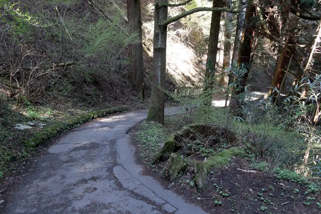 ケーブルカーで帰ってもいいけど、せっかくなので歩いて下山してみます。