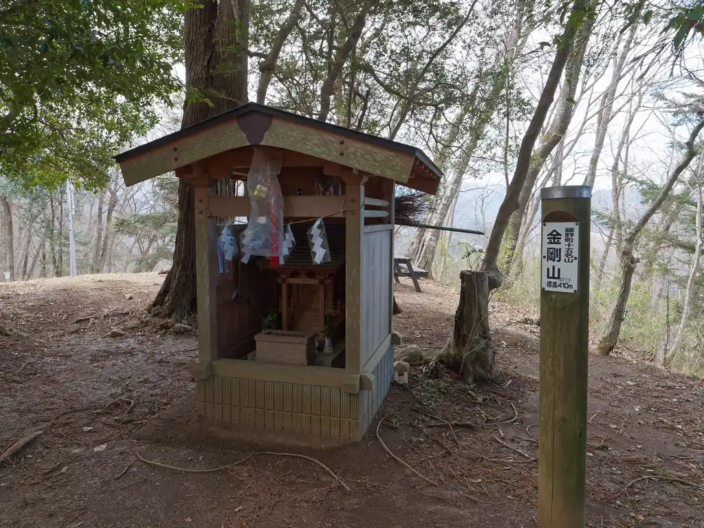 というわけで日連金剛山に到着！
ここも祠があり、金剛山神社というらしい。