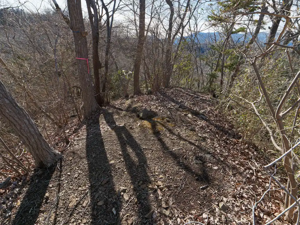 坊主山の山頂は狭い。
ここからさっきの登山道に繋がる道があるらしいのだが、よくわからず。
どういっても藪っぽい感じがしたので、とりあえず来た道を戻って登山道を歩く。
