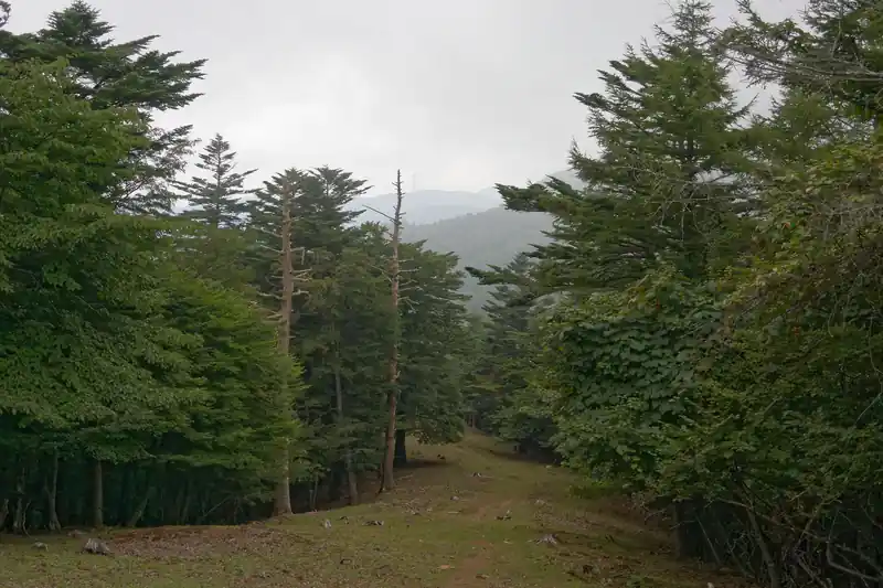 振り返ると景色が…なんですが今日はあまり天気が良くないので、景色もそれなりです。