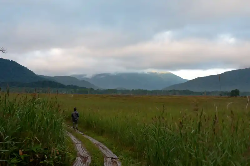 雲に隠れた至仏山。