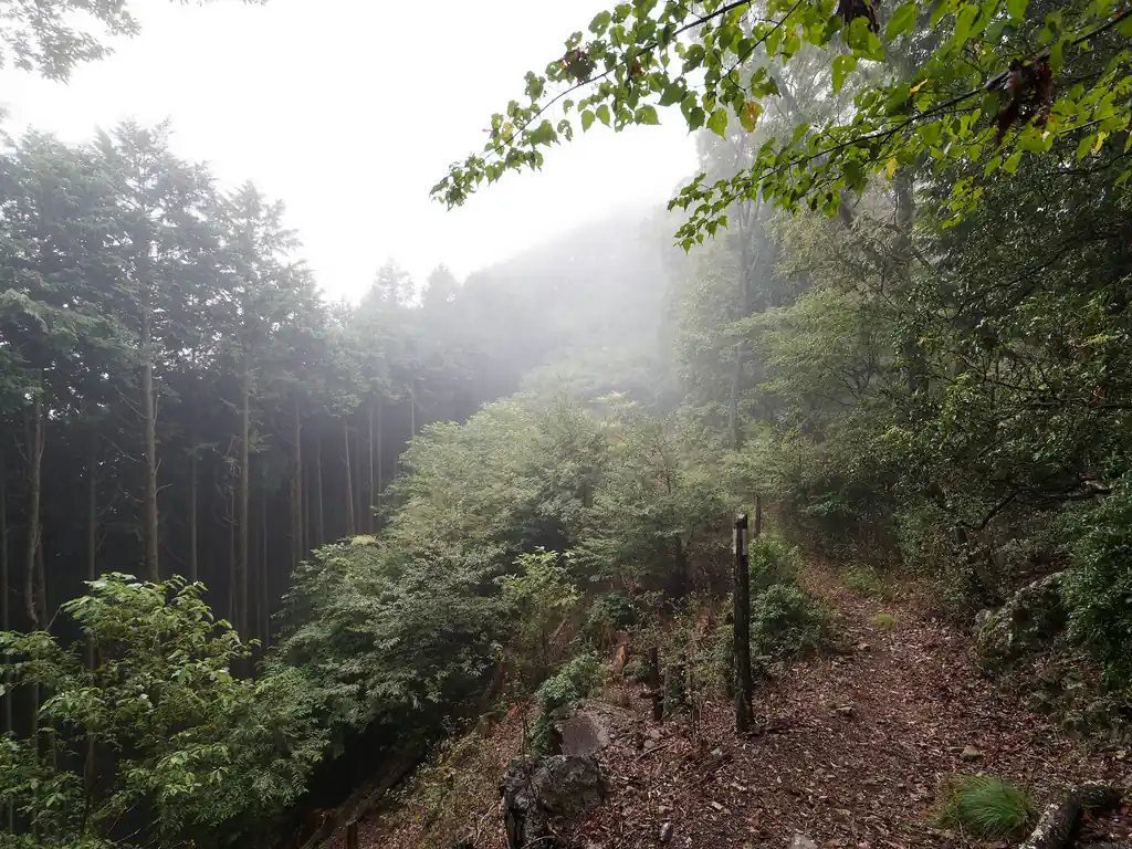 馬頭刈山への最後の登り。