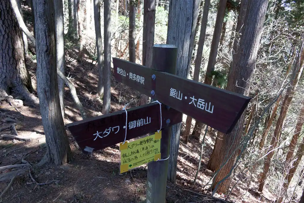 大ダワ林道は崩落が進んでいて徒歩でも通行が難しいらしい。

要はここからエスケープするには大岳山まで歩くか、御前山方面に行くしかないということです。

鋸尾根は登り一辺倒で途中から岩場になりますから、ザックを下ろしてゆっくり休憩できるところは限られております。なので、割と疲れるんですよね。まあ800mくらい一気に登るわけですから。