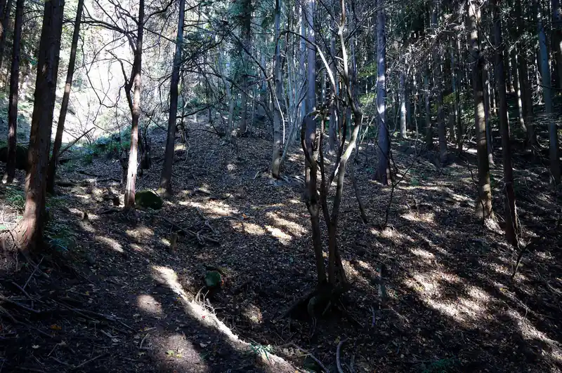 ここで涸れ沢を超えて写真右側に緩やかに登っていく。
写真だとわかりづらいんですが、なんとなく道形がわかるでしょうか。