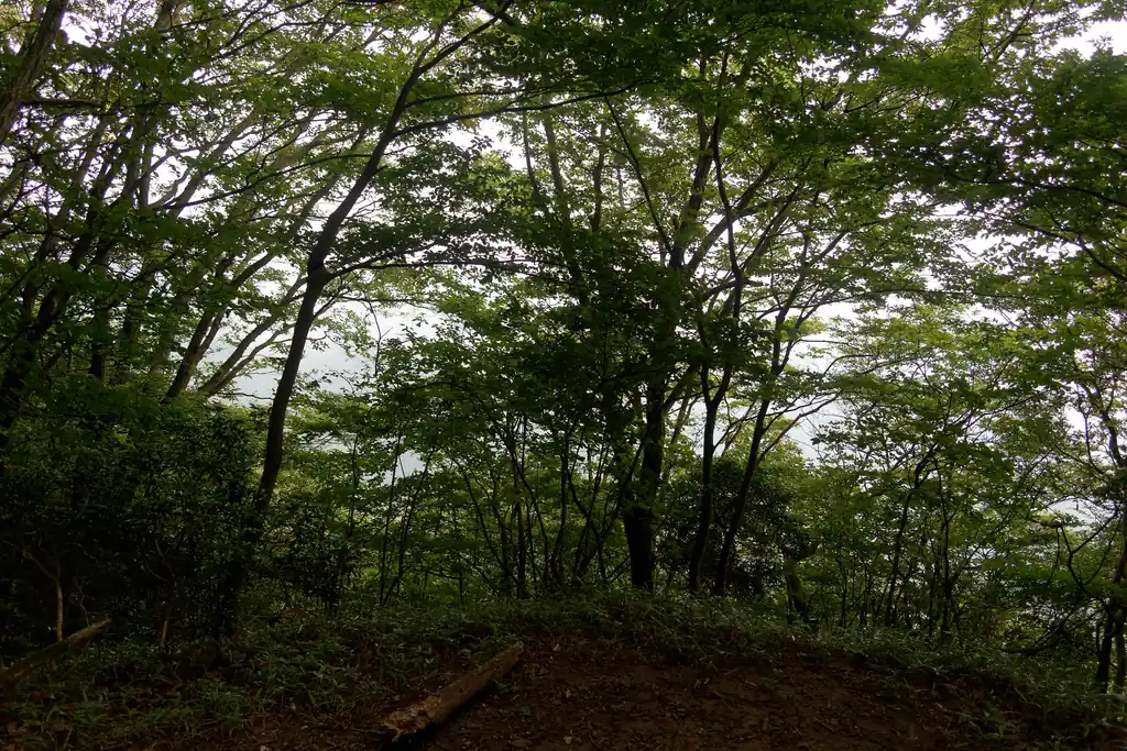 景色もご覧の通り、ガスってて何も見えません…。
