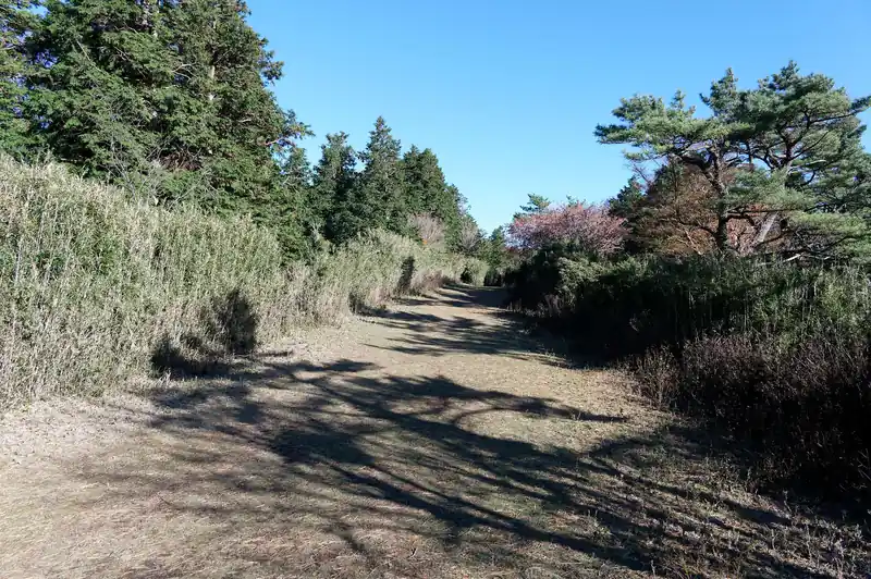 一気に高度を下げて、幅の広い笹道に出ると、再び登山者派の姿がなくなり…
