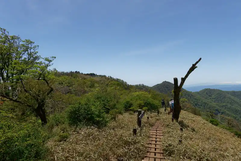 道はやはり良い。丹沢山までの稜線歩きは一度歩いてみてほしい、と言っていた登山者がいたのも納得である。