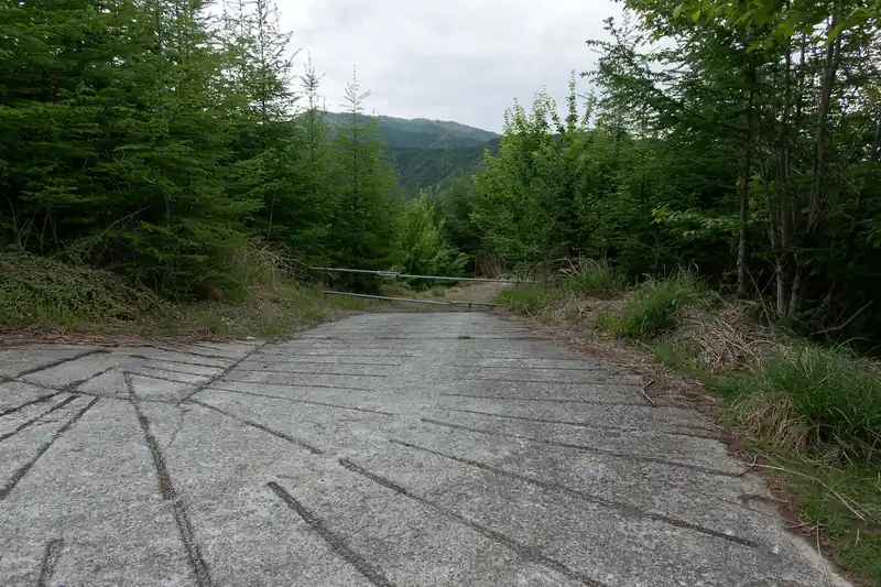ゲートの先に別の分岐もあるようですが、こっちは明確に通行禁止だったので、おそらく作業道か何かなんでしょうか。