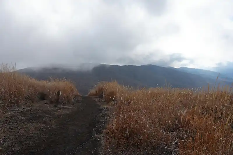こちらは三国山方面。ガスってますな。
