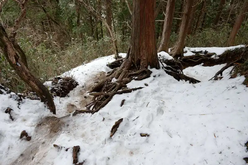 ここらへんは想像以上に雪が残っていて大変そう。