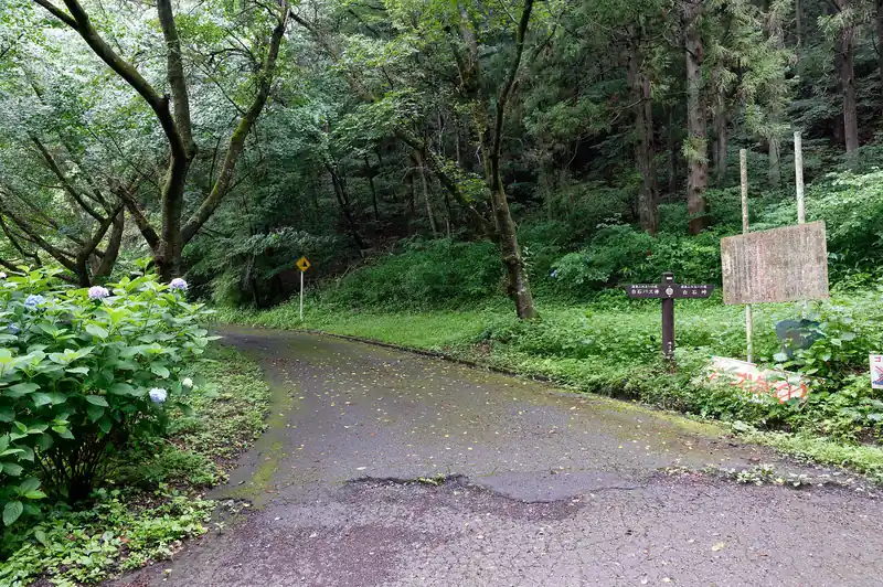 正しくはこっちから。
しばらく苔むした舗装路を歩いていく。