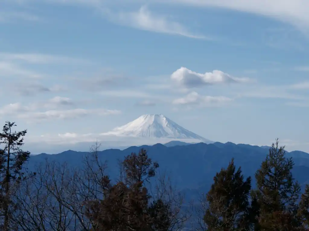 ここも富士山ビューあり。こんだけ見晴らしがよくて、気持ちのいい縦走コースだと人気なわけですねえ。都心からのアクセスもいいし。