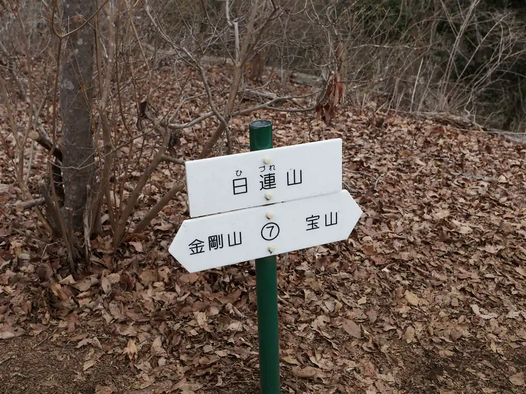 日連山も冬枯れの木に囲まれており明るい山頂ではあるのだが、枝が邪魔で景色はそれほど。
