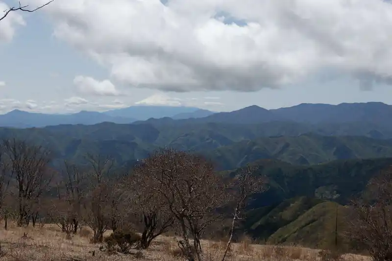 なんだかんだこのあたりの雰囲気も素晴らしい。良い山ですよ、鷹ノ巣山ってやつは。