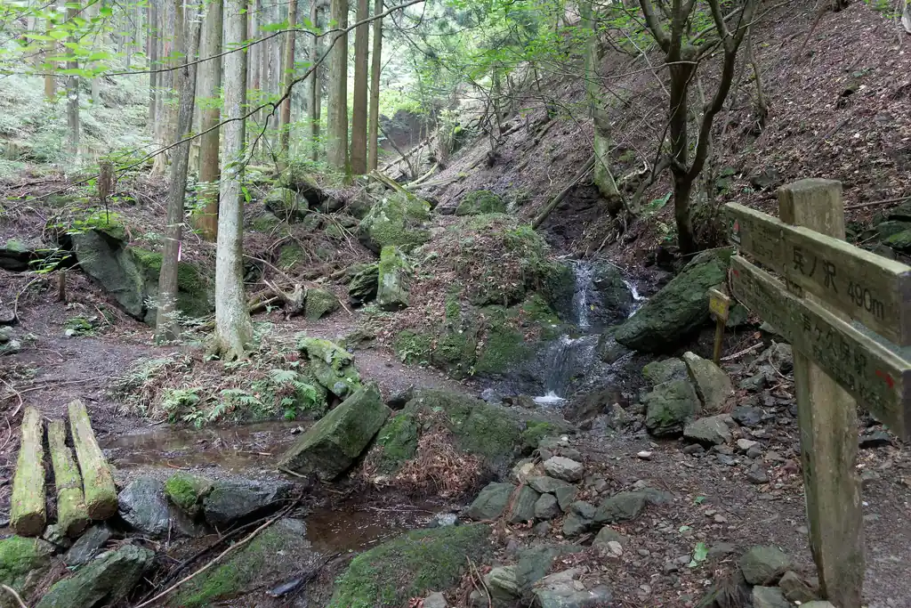 いつも曇りの陰鬱な中歩くので、ちょっと陰鬱な感じがするんですが、苔むしていてとてもいい趣のある道です。
晴れた日に歩きたいところ。