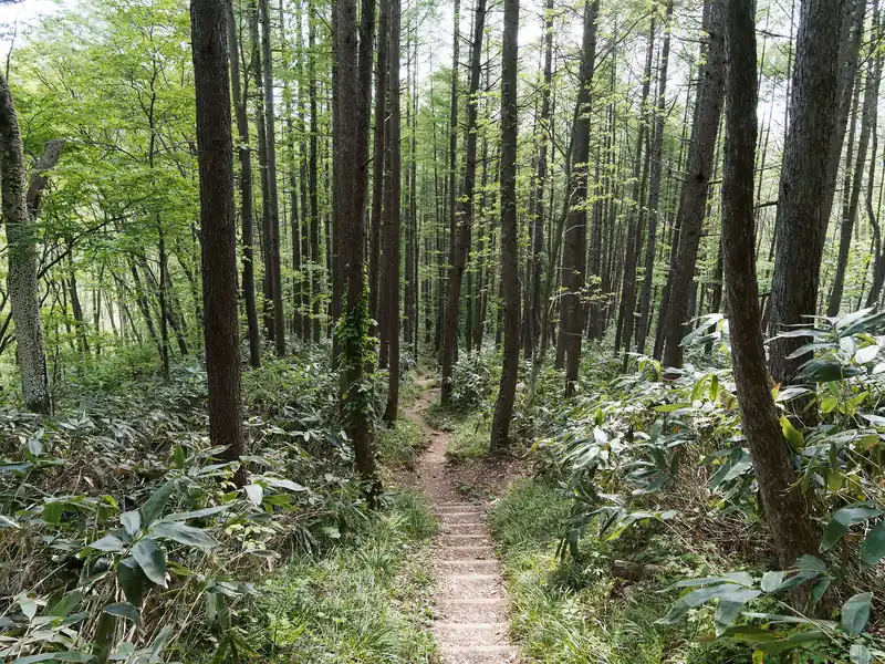 斜度が緩やかになってきたら登山口が近い。