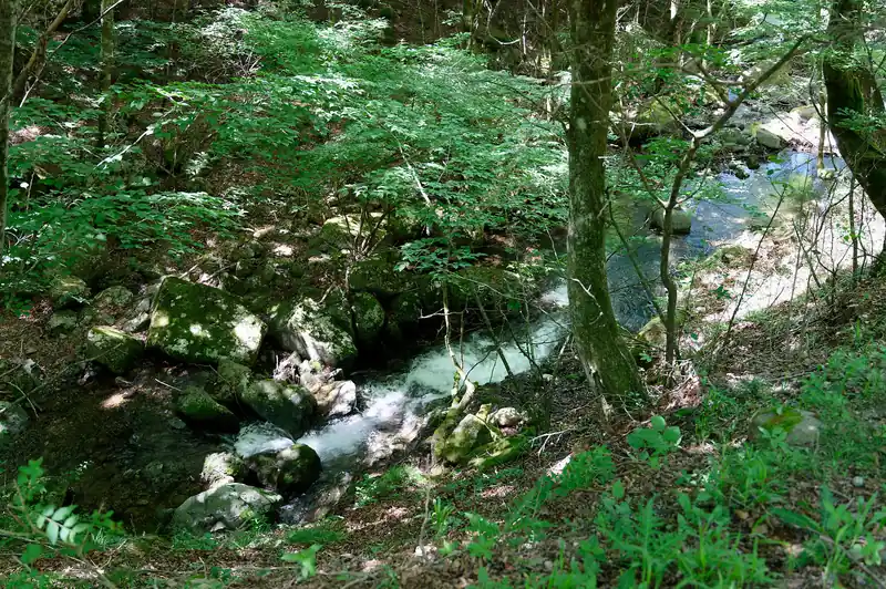 バス停からゆるゆると沢沿いの舗装路を歩いて登山口まで。