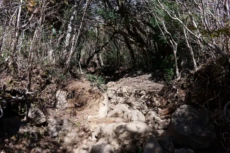 平坦な道を進んでいくと、次第に岩がちな登りの登山道に。
鎖やロープがあるような道ではなく、高度感もないため私的には問題なし。