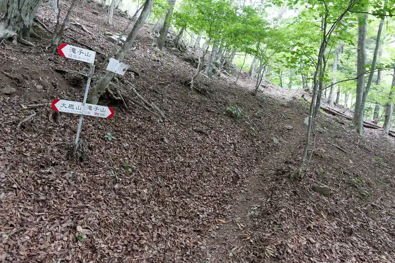 ここで迂回ルートと難路の分岐。
難路も興味はあるんですが、滝子山は始めてなので迂回路を歩いてみます。
どっちを歩いても辛さはそんなに変わらないはずです。
