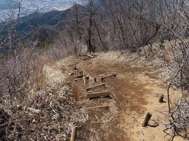 写真を撮って満足したら下山。下山は沢コースなのだが、山頂直下はなかなかの急坂。
ただ崩壊気味ではあるものの、階段になっているので難しくはない。