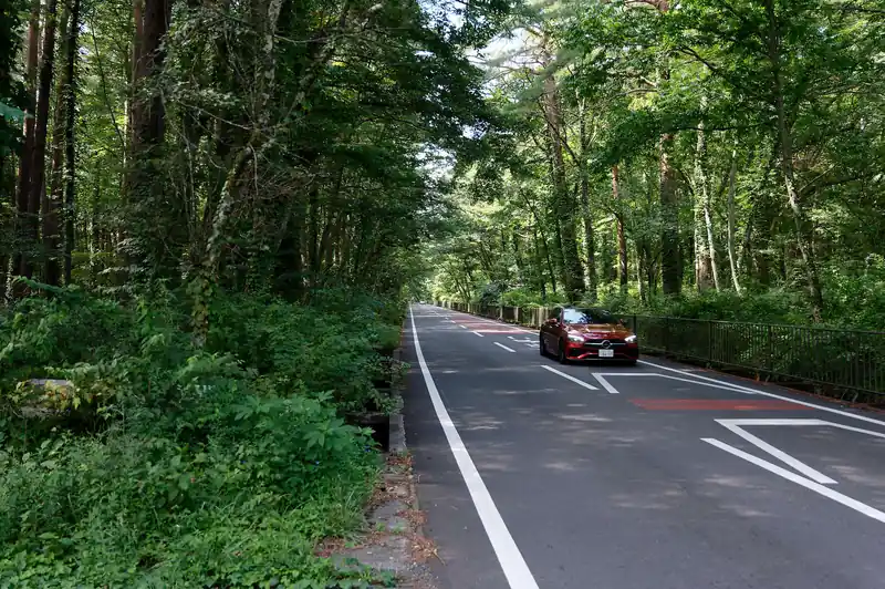 舗装路歩きはそれはそれで疲れる。
思った以上に車の往来があり、歩行者には全く配慮されてない道幅であることもあり、ちょっとこれ歩くのはな～と思っていた。
歩いていたら、トレランの人と何人かすれ違った。