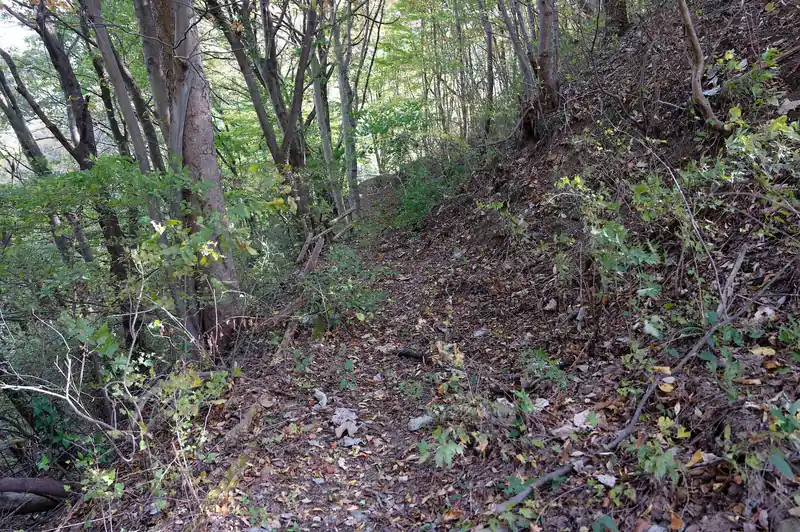 降りてすぐ右に遊歩道らしき道があったような雰囲気を感じたのですが、今ではすっかり朽ちて人が通れるような雰囲気ではありません。