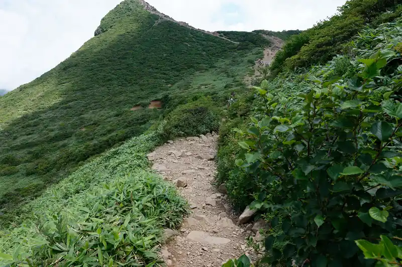 というわけで、朝日の肩まで戻ります。道はこんな感じで歩きやすいトラバース道。
