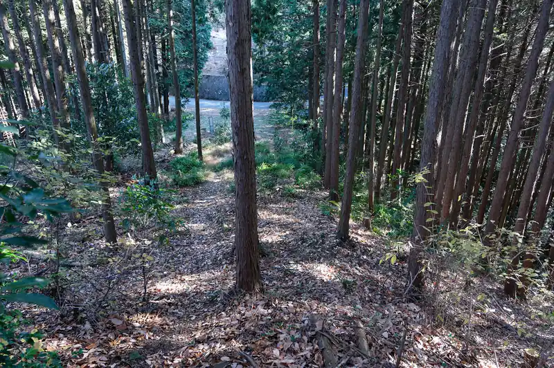 踏み跡を辿っていった結果、小ピークに登り、一見道がなくなったかのように見えたのだが、右を見ると踏み跡が伸びており、とりあえずそのまま辿ってみる。
すると、すぐに舗装路が見え一安心。