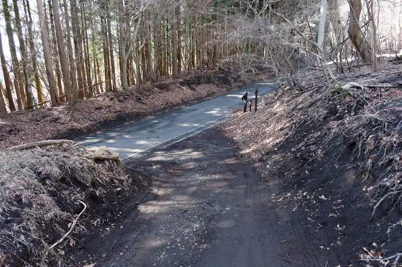 そのまま歩いていって舗装路に出る。