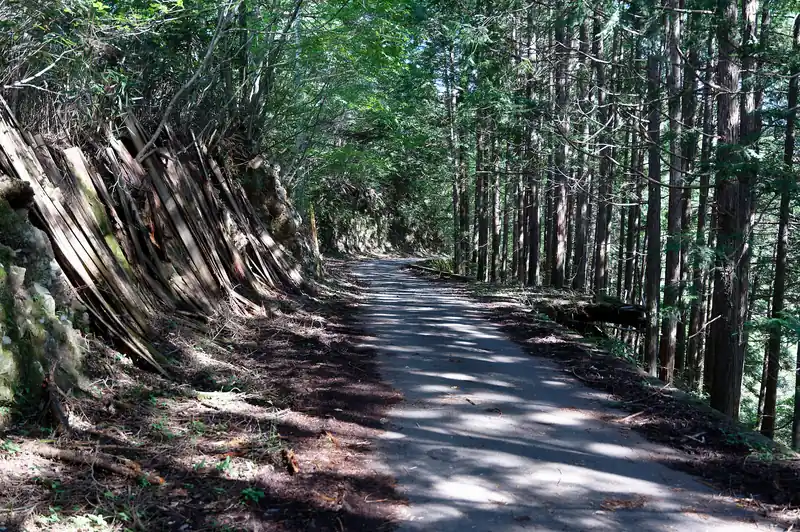 しばらく舗装路を歩いていく。