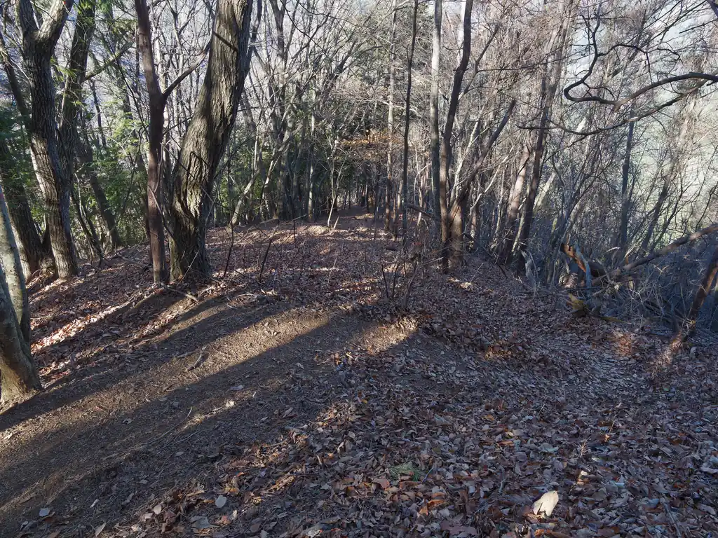 大久保山からは鞍部に向けて急降下が始まる。