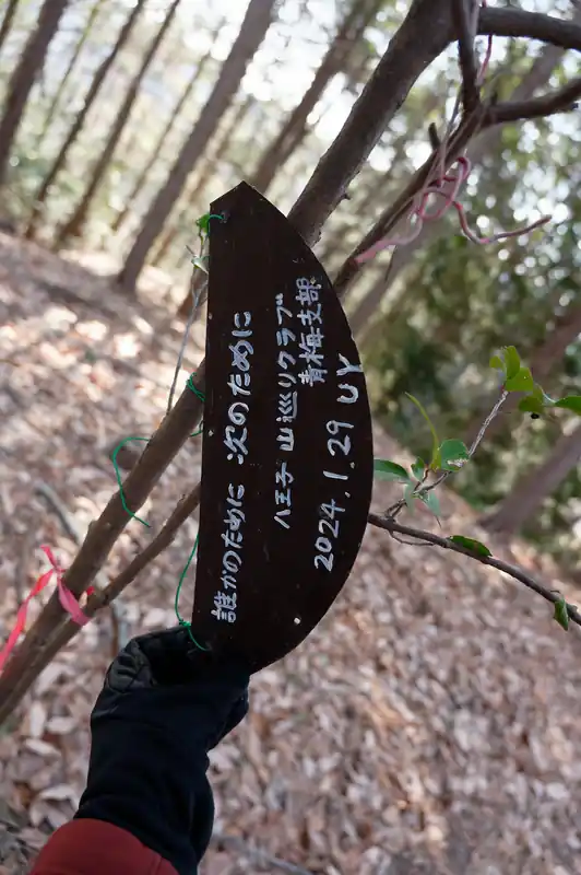 つい最近設置されたもののようです。