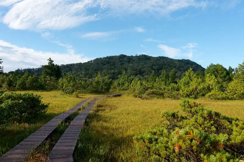最初の水平区間へ。
ここが広沢田代。
