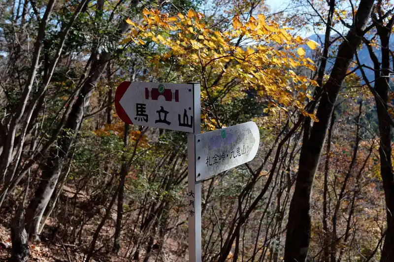 分岐。ここから急な下りです。