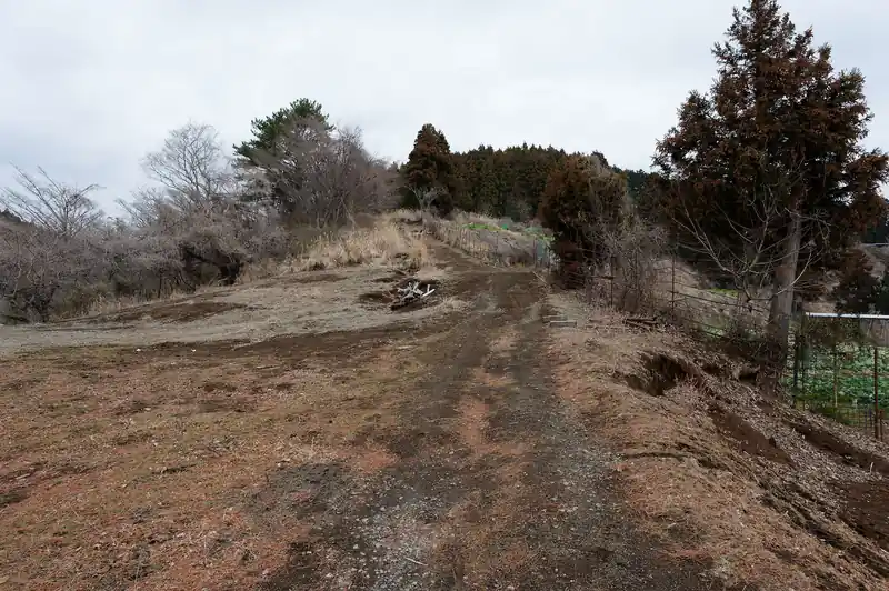 次第に畑に繋がる道になり…
